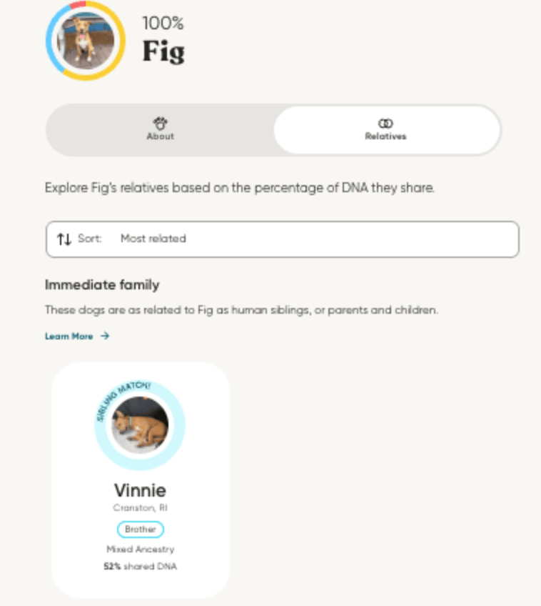 dog dna testing relative finder